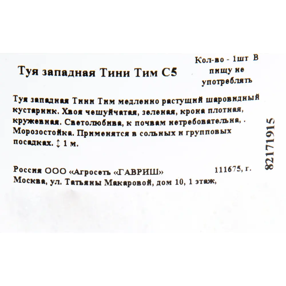 Туя западная «Тини Тим» C7.5 ГАВРИШ STLM-2088234 - Вид №1