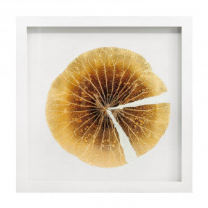 600388-10 ABHIKA РАМА ЛИСТ ЛОТОСА WHITE