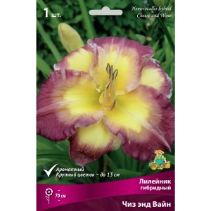 Лилейник гибридный «Чиз энд Вайн» 82530547 STLM-2118275
