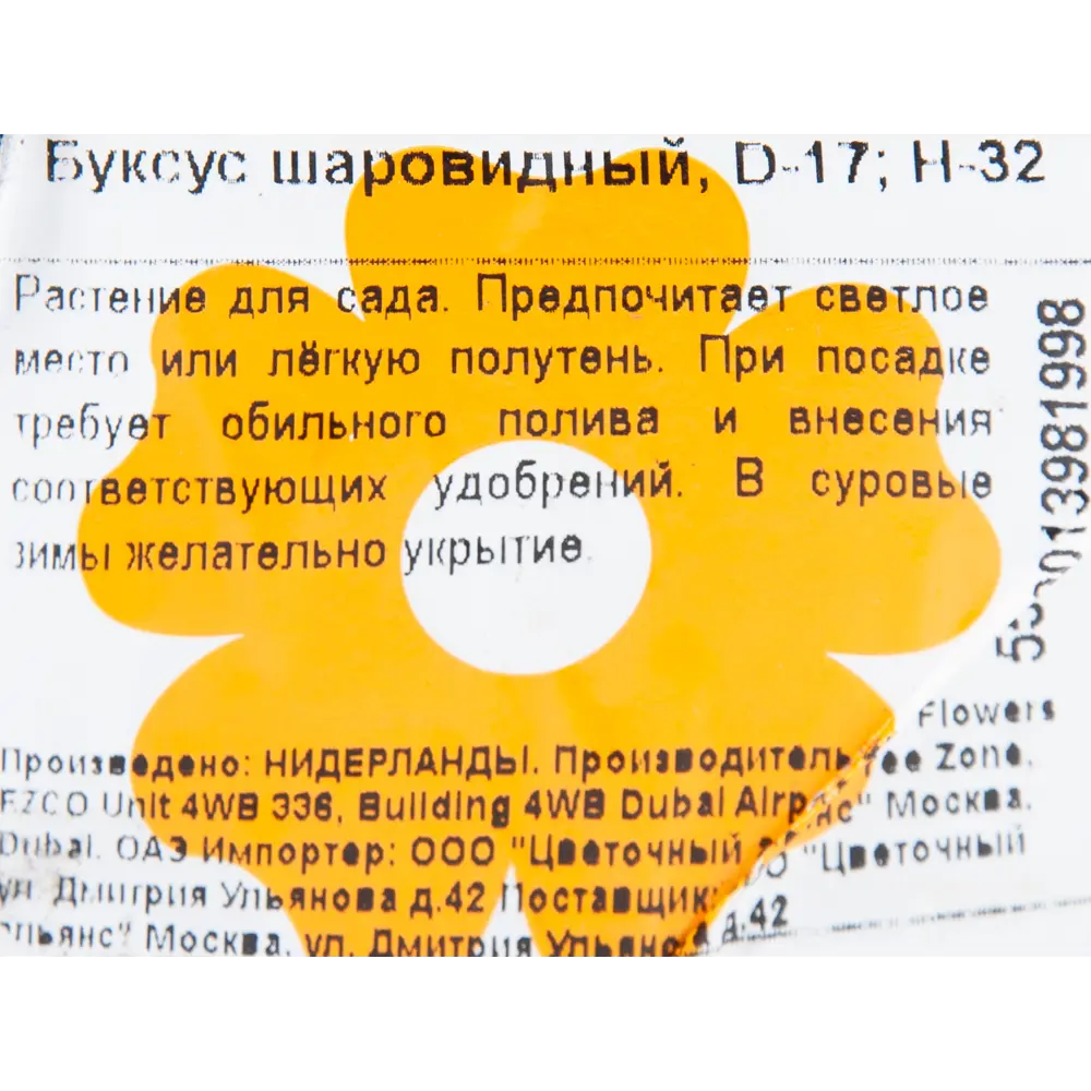 Буксус шаровидный 17x32 см 82853824 STLM-2078661 Santreyd  - Вид №1