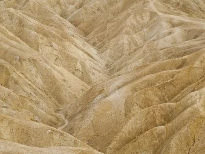 MOMENTI Авторский художественный принт Crazy home paintings Mn-007