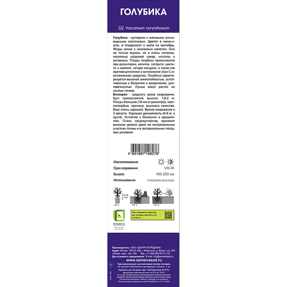 Голубика высокорослая «Блюкроп» 81951319 STLM-2074145 Santreyd  - Вид №3