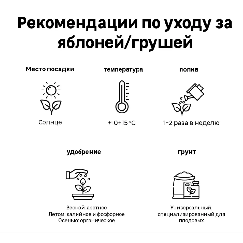 Груша «Любимица Клаппа» C4 высота 120-150 см 82557717 STLM-2061609 ВСЕ В САД  - Вид №1