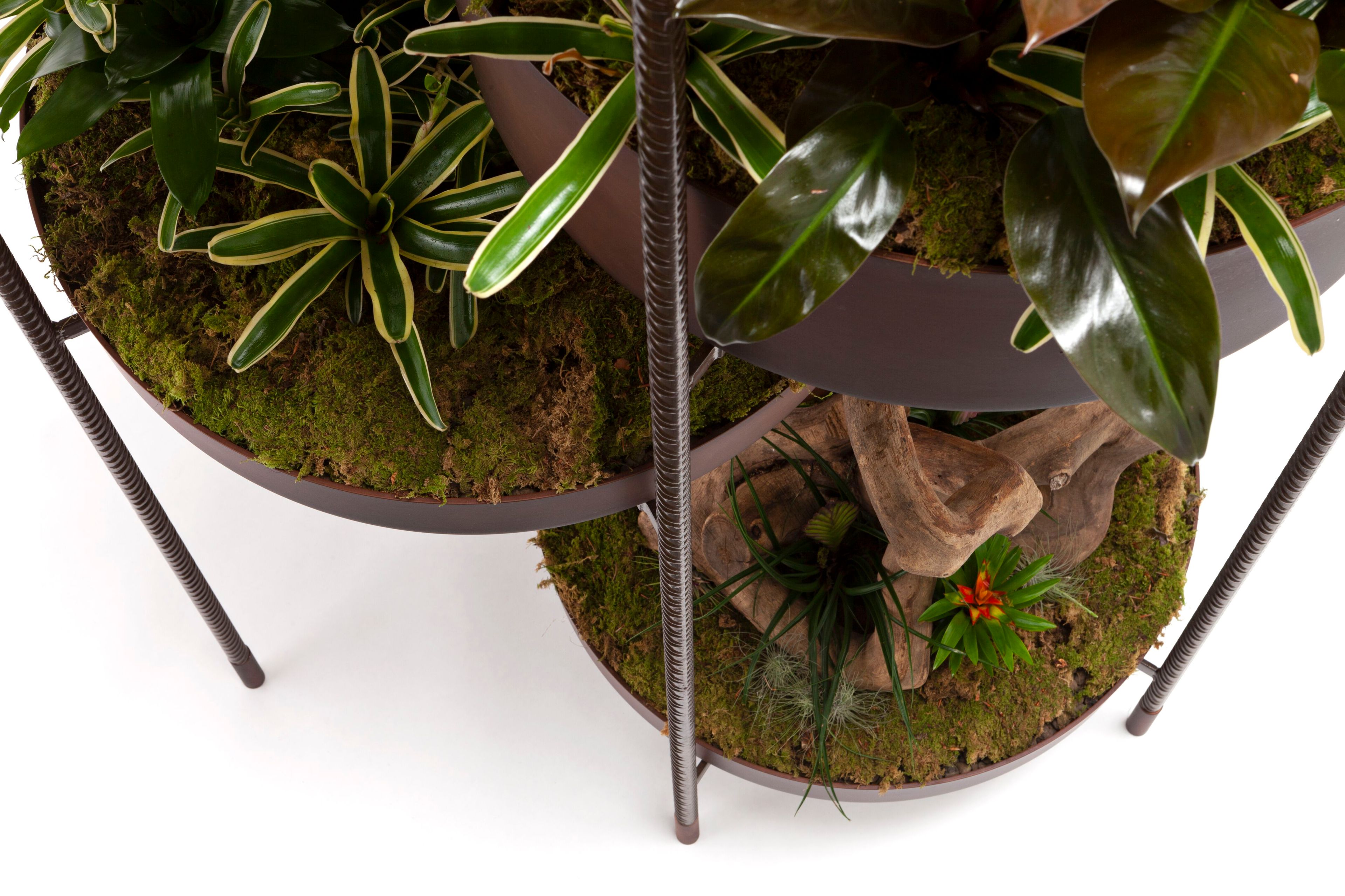 Нержавеющая сталь высокий горшок держатель Exteta 10th ARCH-00092532 - Вид №8