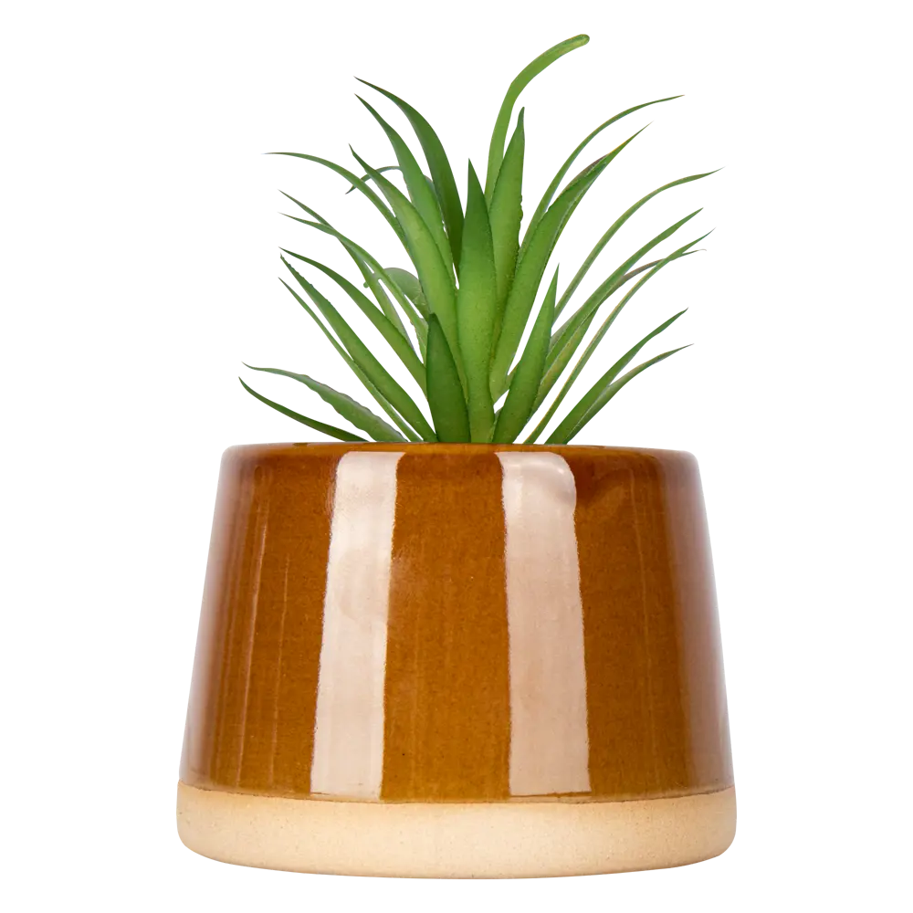 Искусственное растение Flora H12xD8.5 см цвет коричневый пластик Atmosphera STLM-2060645 - Вид №2