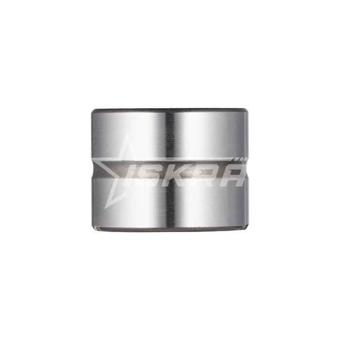 IS1644 Подшипник NA49/32 ISKRA  - Вид №7