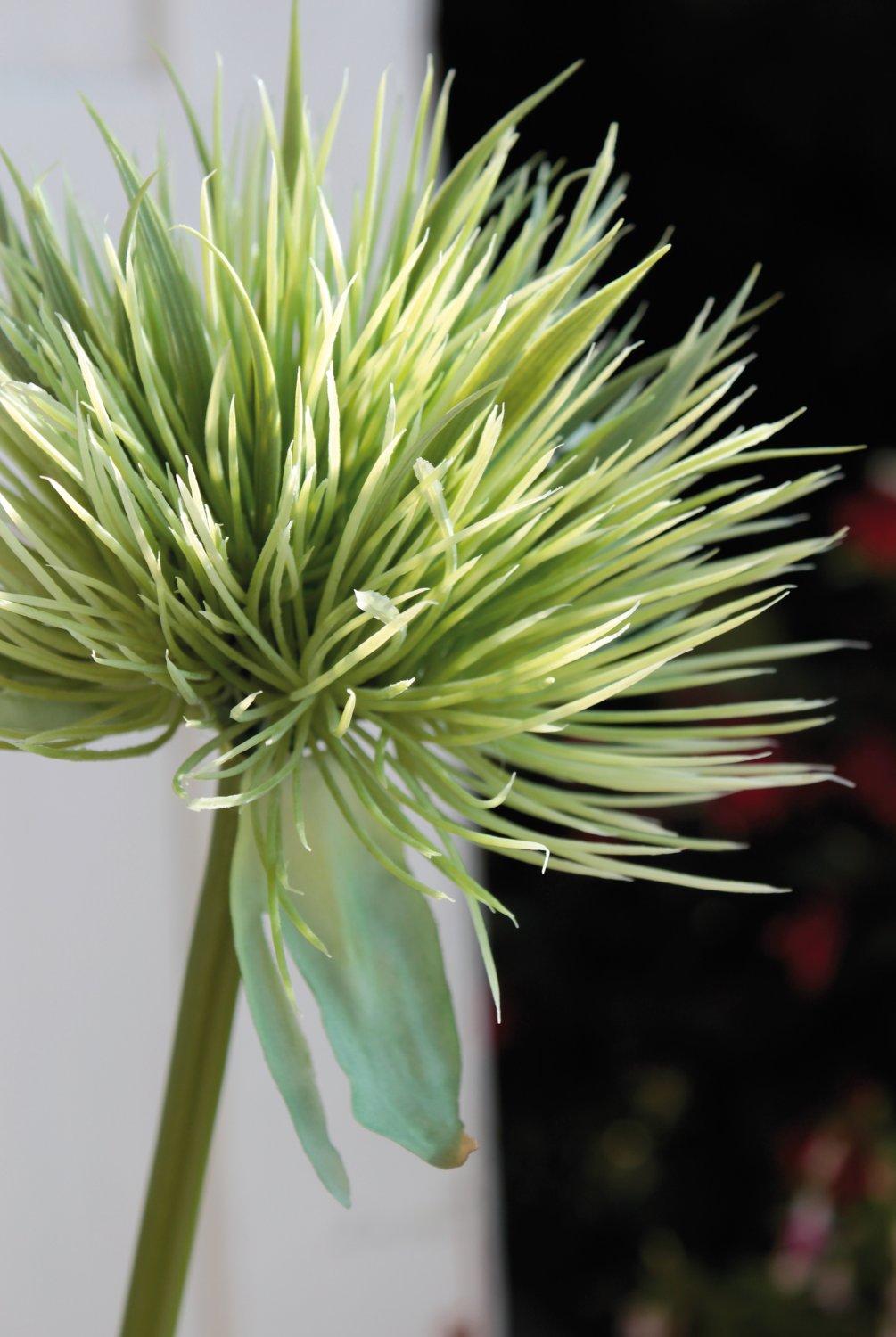 5851 883 a2 Искусственный ковыль китайский, 85 см, зеленый H-andreas  - Вид №7