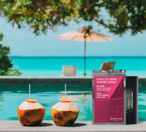 F2867 Ароматическая капсула SCENTYS