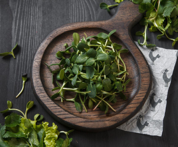 9683 Микрозелень Подсолнечника Вкусляндия 