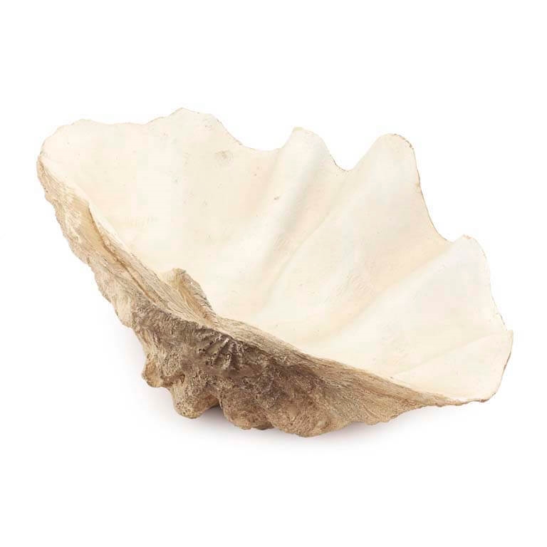 600601-01 ABHIKA TRIDACNA MED GOLD  - Вид №1