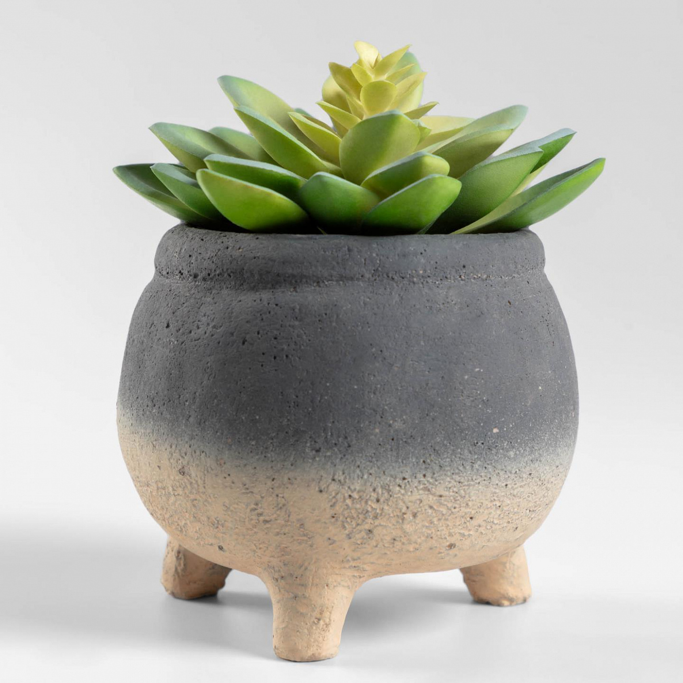 083797 Исскуственный суккулент Flower La Forma Sedum