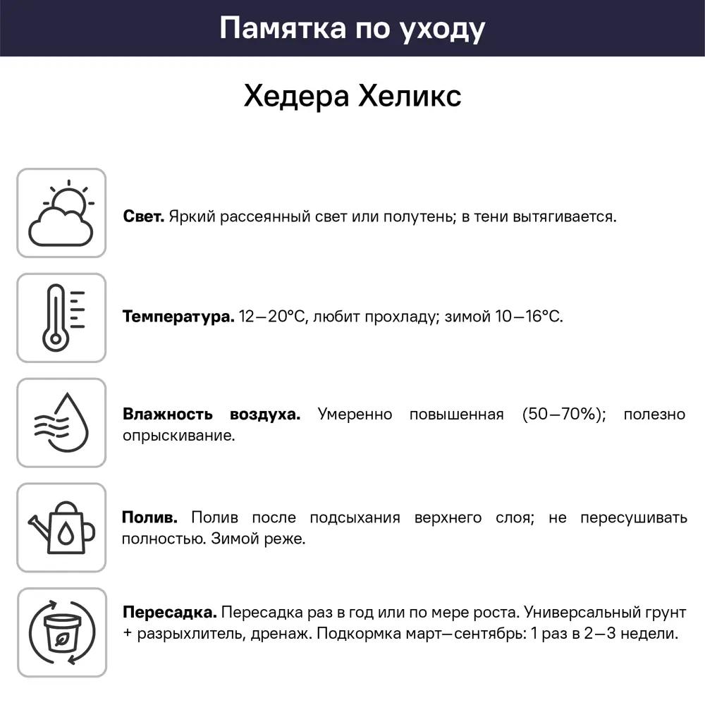 Хедера ø9 h20 см 89412449 STLM-2206747 Santreyd  - Вид №1