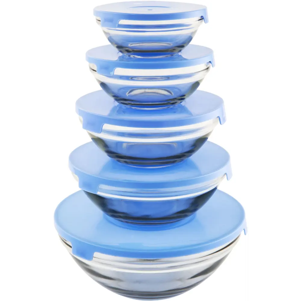 Миска 2100 мл круглая стекло цвет синий 5 шт Santreyd STLM-2211300