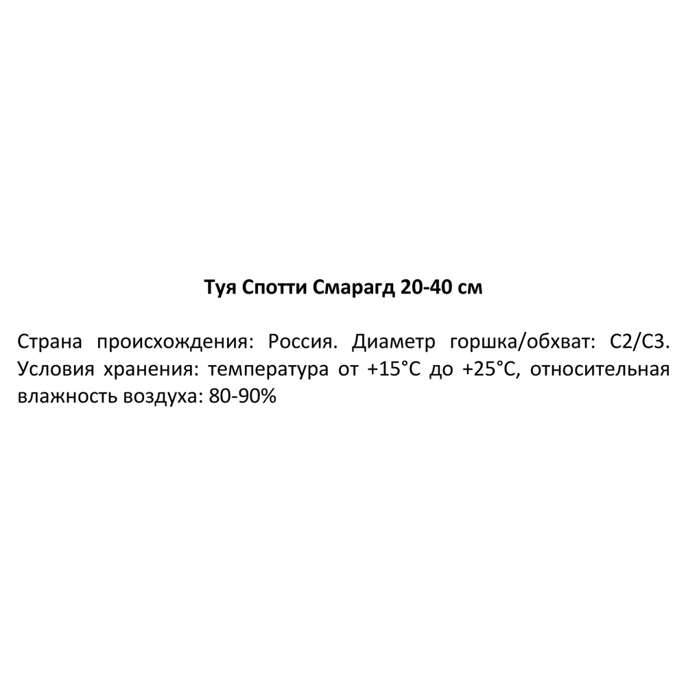 Туя западная Спотти Смарагд h20-30 см 85320111 STLM-2002886 Santreyd 