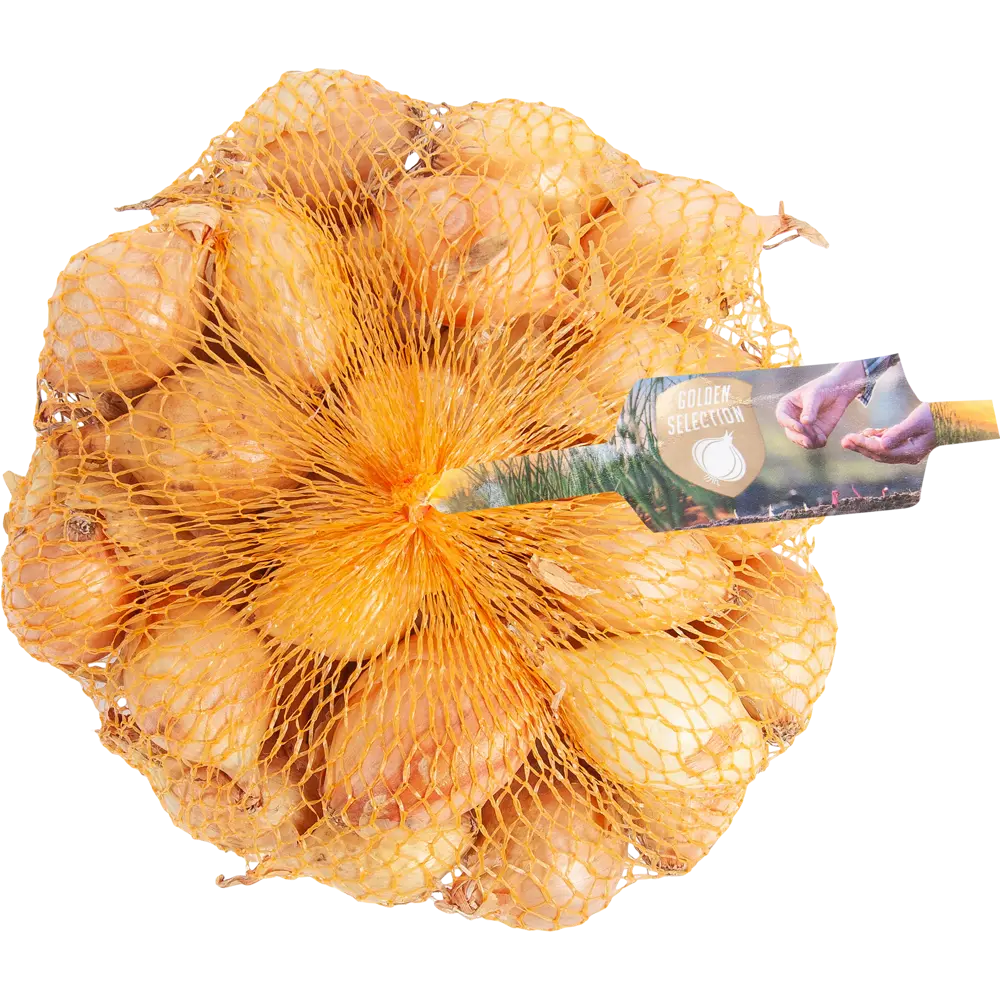 Лук-севок «Стурон» упаковка 0.45 кг Santreyd STLM-2075725