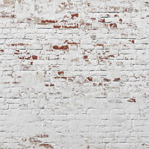 WP08113A Обои декоративные Adriani e Rossi