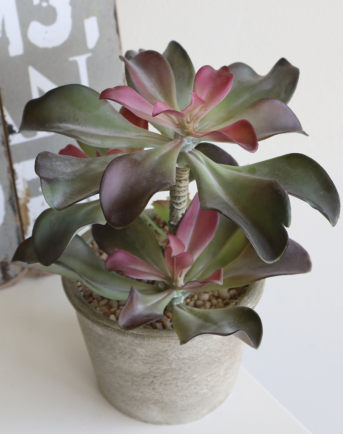 6046 849 a3 Искусственный суккулент, горшок, 25 см, зелено-бордовый H-andreas  - Вид №2