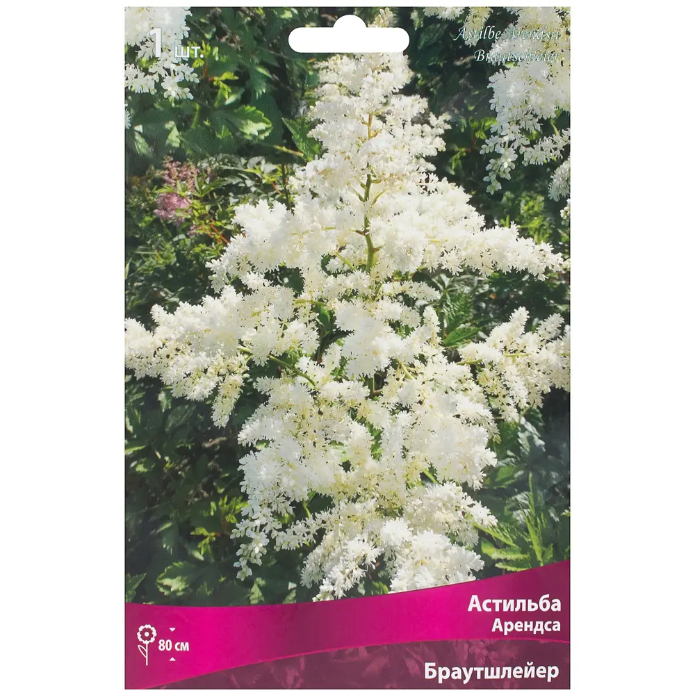 Астильба «Арендса», с капером микс Santreyd STLM-2026105