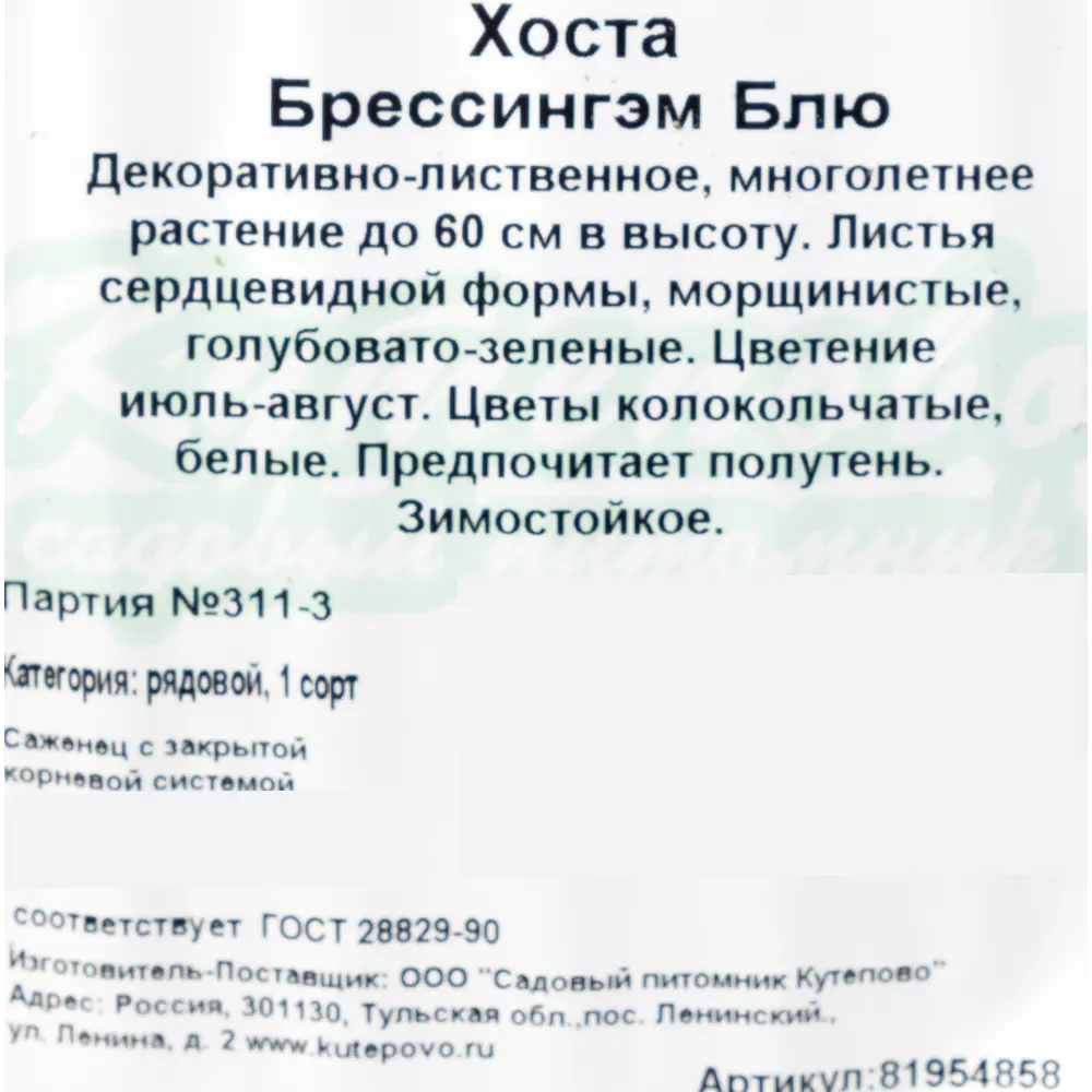Хоста гибридная С2 «Брессинген» h15 81954858 STLM-2085910 Santreyd  - Вид №1