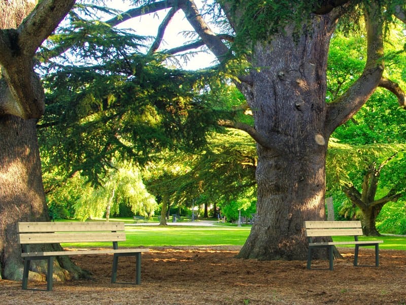 Деревянная скамья со спинкой Lazzari Mediterraneo ARCH-00082617