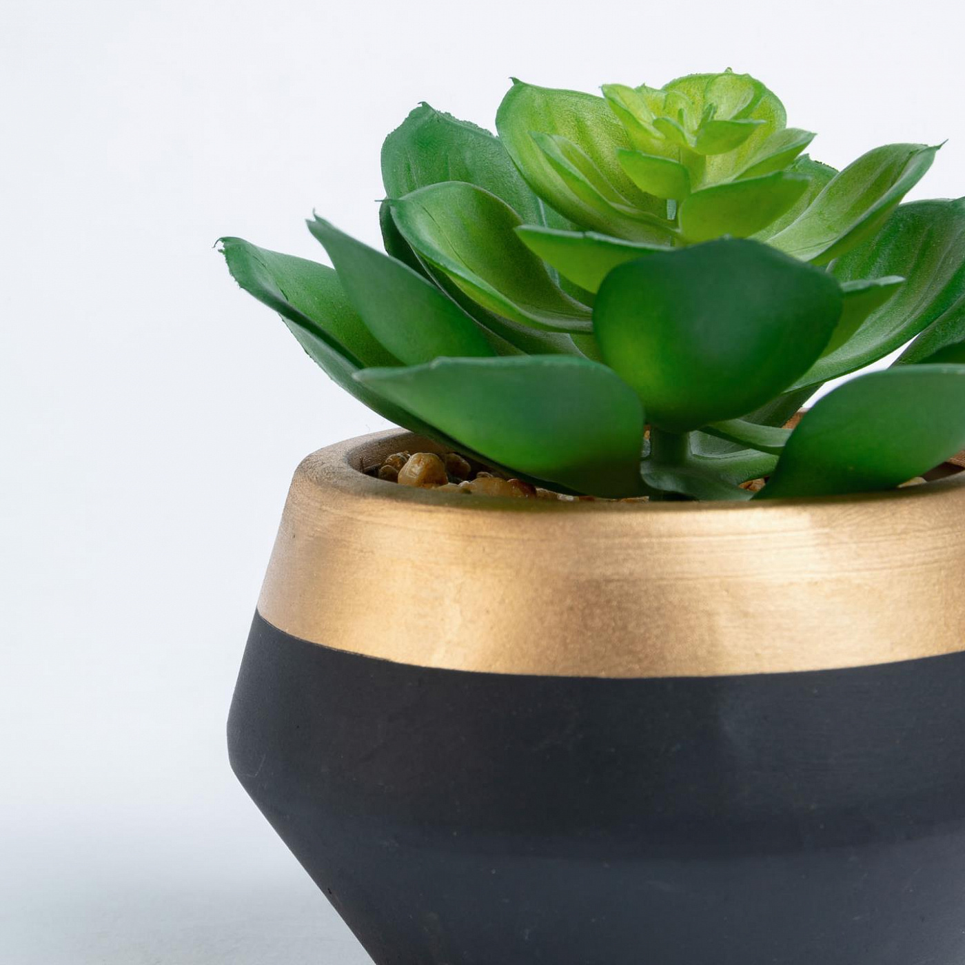 069073 Flower Суккулент в керамическом горшке La Forma Consolva  - Вид №1