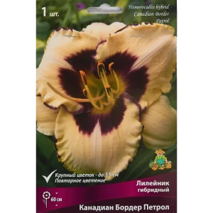 Лилейник гибридный Канадиан Бордер Петрол 85186040 STLM-2029063