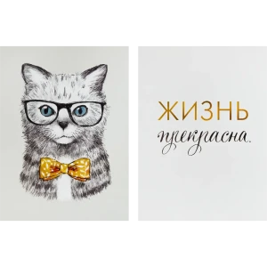 Постер Арт дизайн Коту виднее 30x40 см 2 шт.