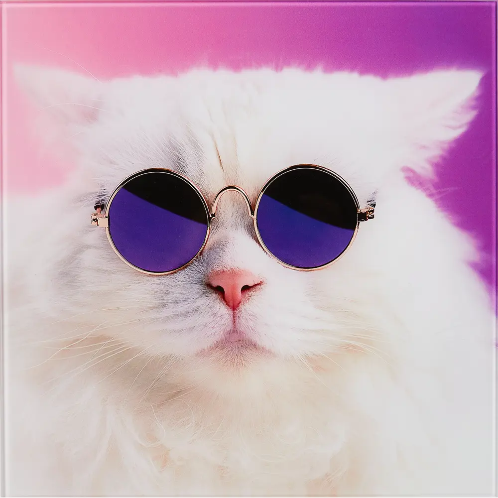 Картина на стекле "Модный кот" 30x30 см 82882467 STLM-2180479 Santreyd 