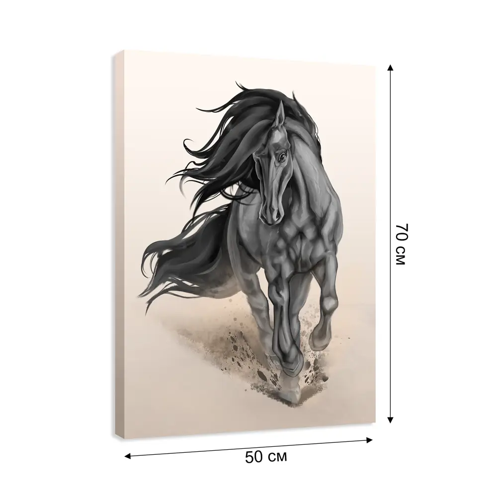 Картина на холсте Канвас 50x70 см цвет разноцветный 89345505 STLM-2168925 Santreyd  - Вид №1