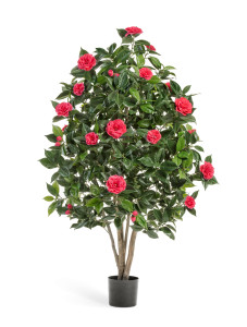 10.40105RS Камелия Японика тёмно-розовая Цветочная коллекция