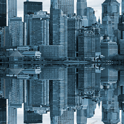 D1-041 Фотообои DIVINO Collection D 2.7х2 м D1041