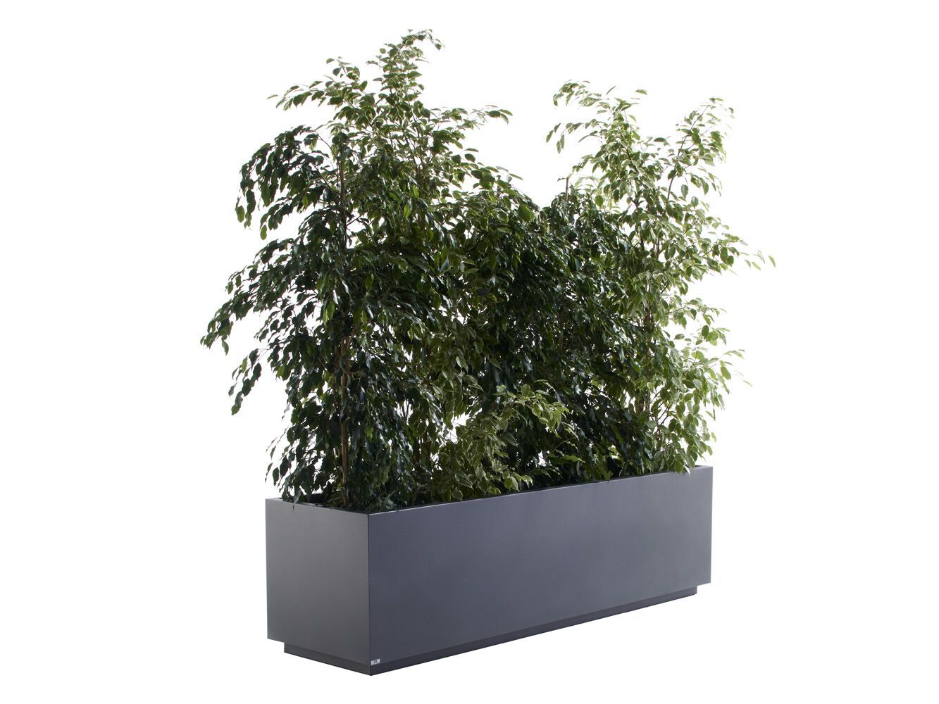 Окрашенный металлический прямоугольный плантатор Fi.Ma LINE ARCH-00044023 - Вид №1