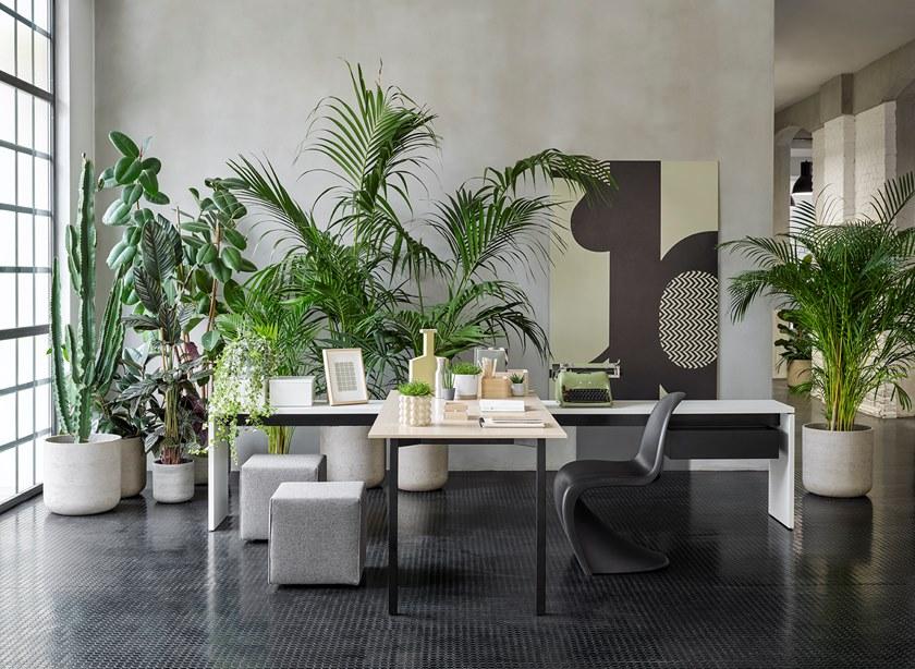 Citterio Индивидуальное рабочее место с системой управления кабелями Bridge sun-id-1386961 - Вид №2