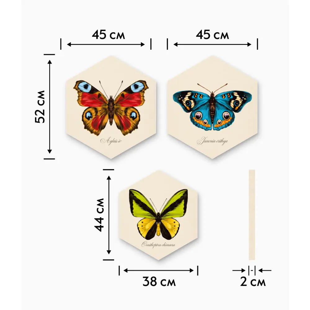 Картина на МДФ Бабочки 45x52 см 3 шт POSTERMARKET STLM-2185751 - Вид №5
