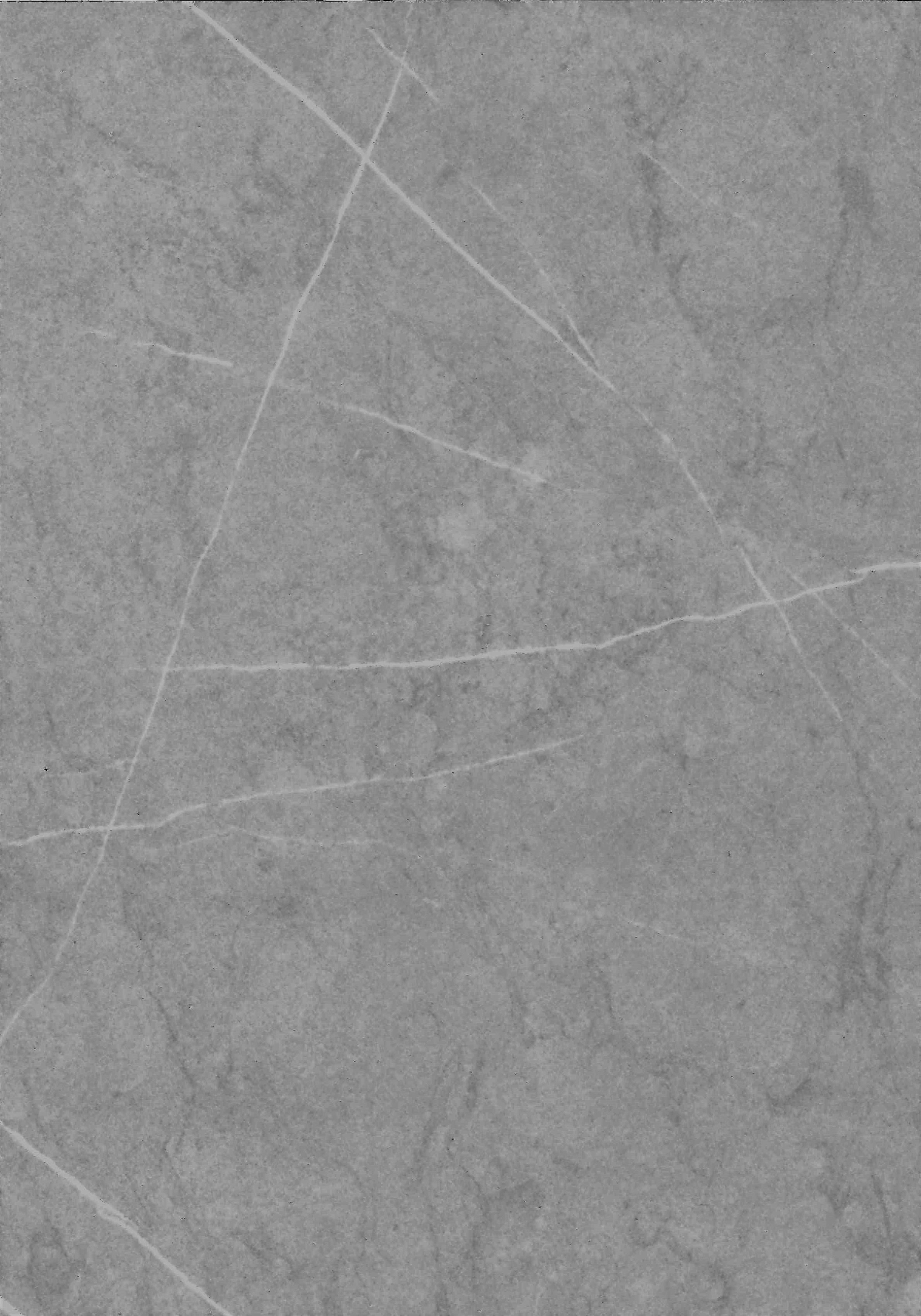 Панель ПВХ Кварцит серый Ламинированная панель  250мм DEKOR PANEL DP207