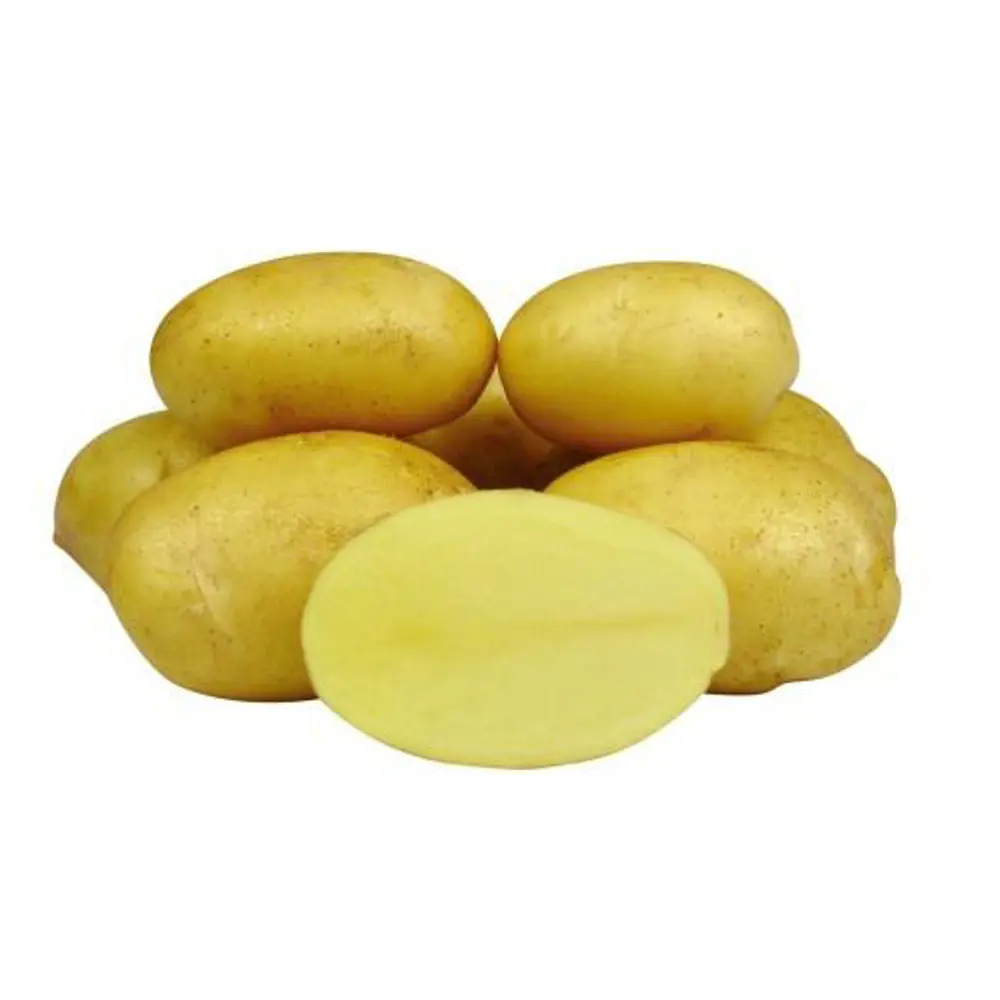 Картофель семенной Королева Анна РС 2, 2 кг, сетка Santreyd STLM-2142589