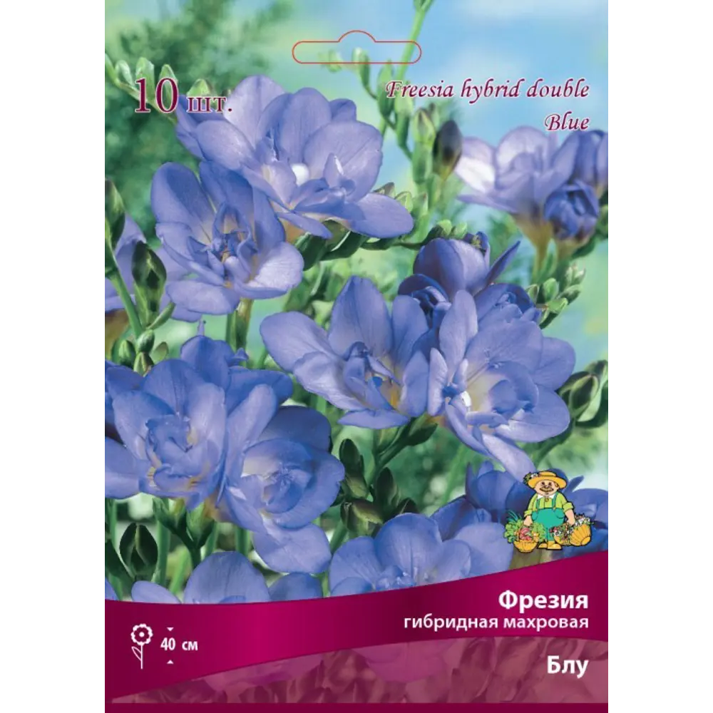 Фрезия гибридная махровая Блу луковица 5/6 83597220 STLM-2093622 Santreyd 