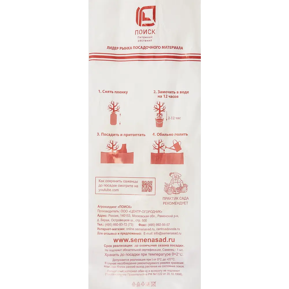 Яблоня Китайка золотая ранняя 82529103 STLM-2040753 Santreyd  - Вид №4