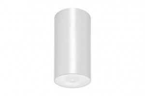 DST-85 Lens watertight ceiling-mounted Daisalux Светильники аварийные Белый