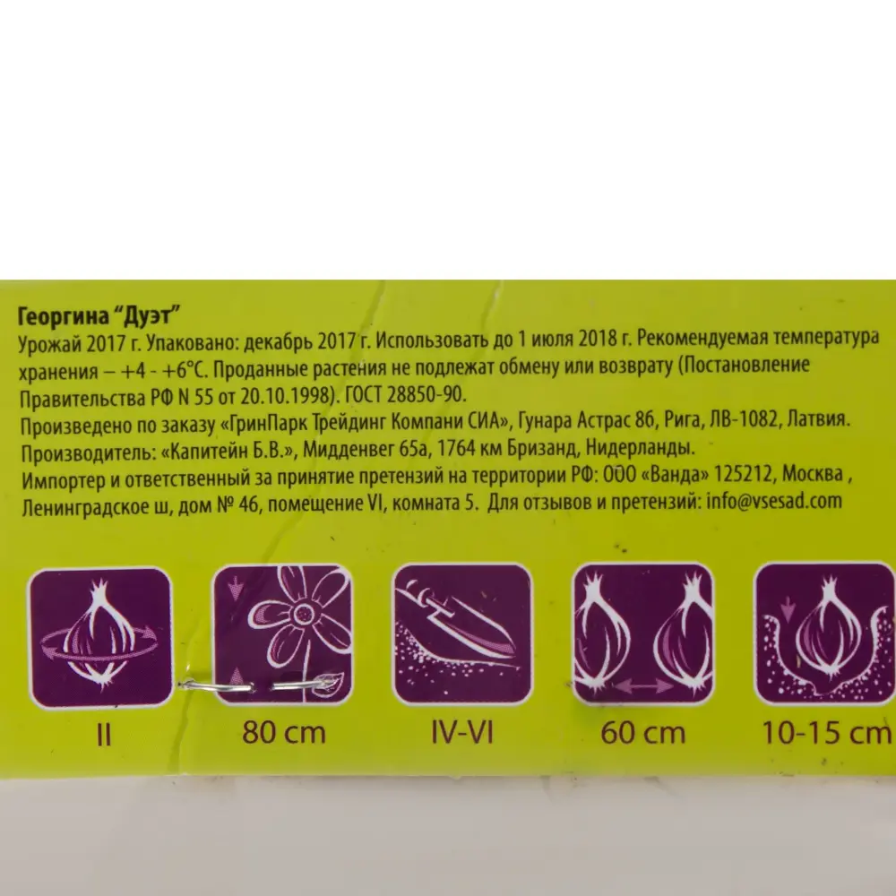 Георгина декоративная Дуэт II, 1 шт Santreyd STLM-2000075 - Вид №2