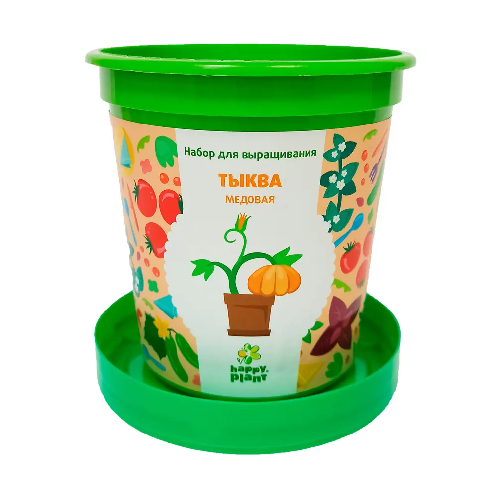 Набор для выращивания Тыква медовая Santreyd STLM-2031413 - Вид №1