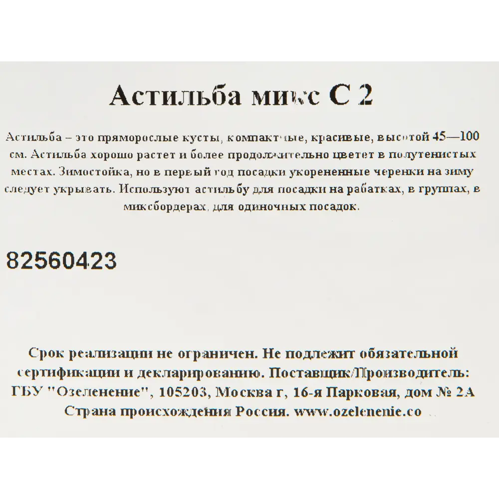 Астильба микс С2 82560423 STLM-2201050 Santreyd  - Вид №1