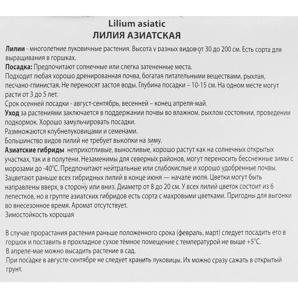 Лилия азиатская Шугар Лав 89351841 STLM-2165418 ПОИСК  - Вид №2