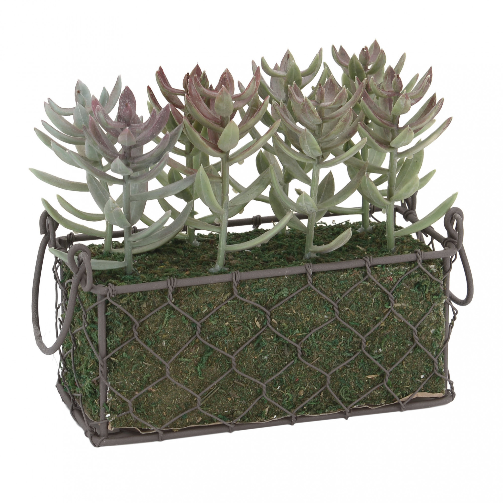 3885475.0157 цветочная композиция TO4ROOMS 