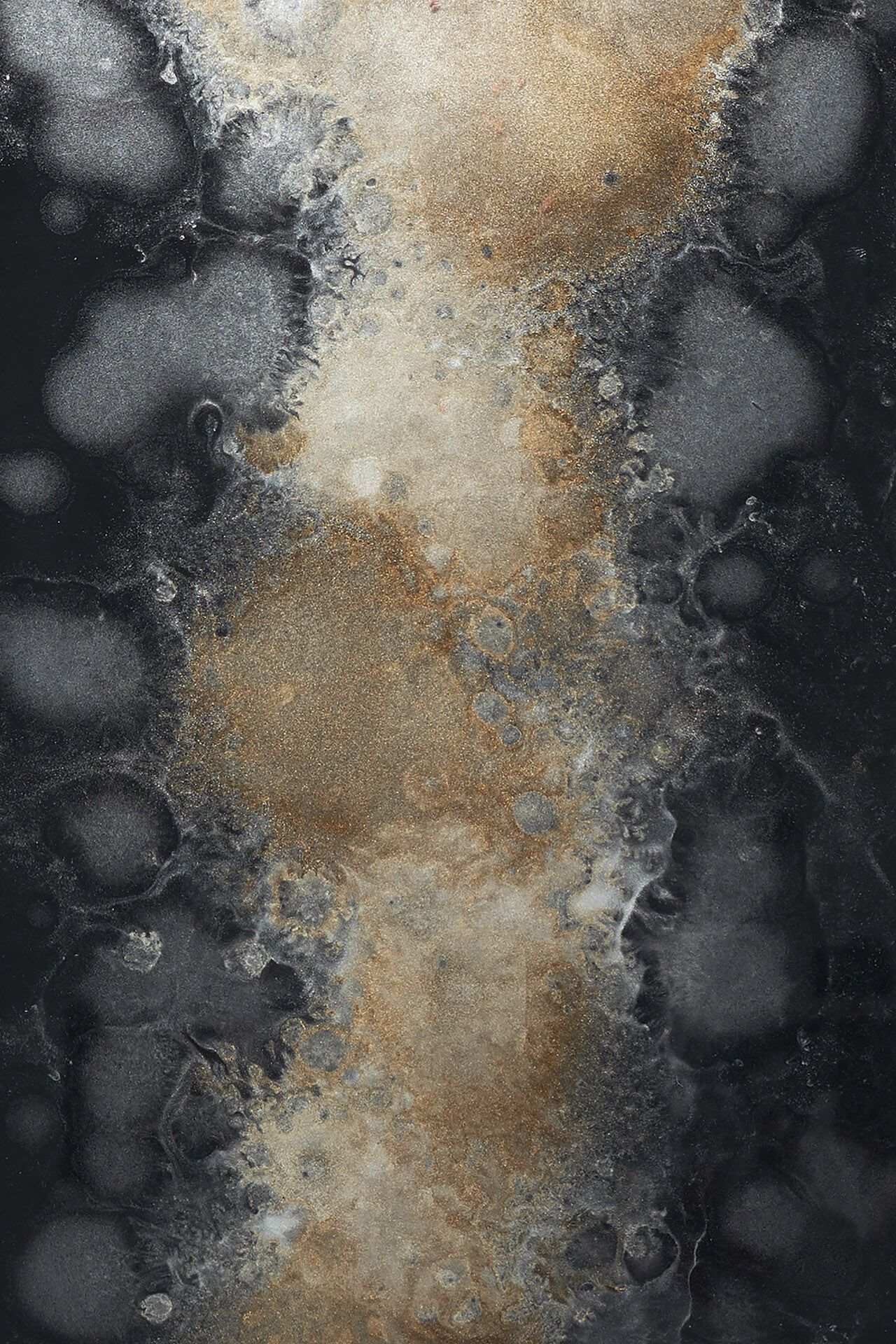 ARCH-00039170 Лоток для хранения яиц Ethnicraft Бельгия Organic - Вид №3