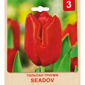 Тюльпан Триумф «Seadov» размер луковицы 10/11, 3 шт. 82365379 STLM-2181943