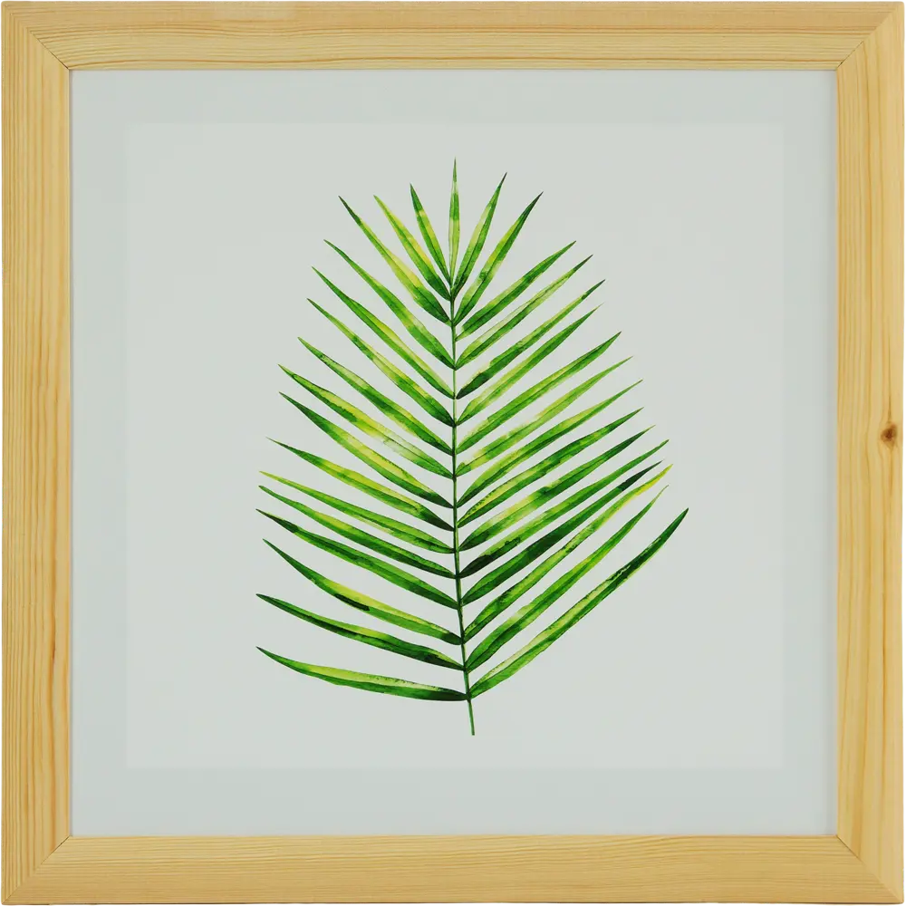Постер в раме 40x40 см Лист пальмы Santreyd STLM-2087756