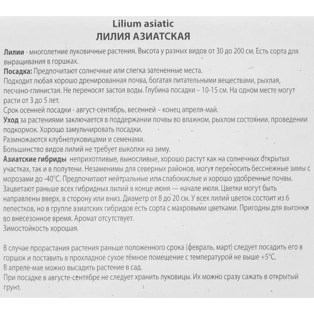 Лилия азиатская Родилана 85205805 STLM-2006844 ПОИСК  - Вид №2