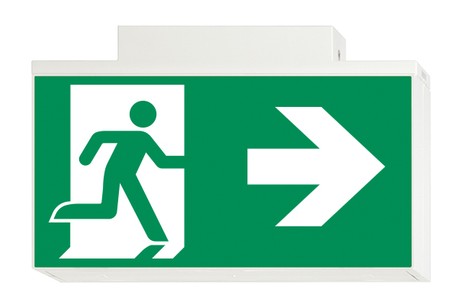 DST-809 Lisu ceiling-mounted Daisalux Светильники аварийные Белый 