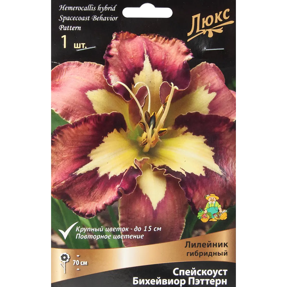 Лилейник Спей Скоуст Бихейвиор Пэттернкап 85205695 STLM-2130065 ПОИСК 